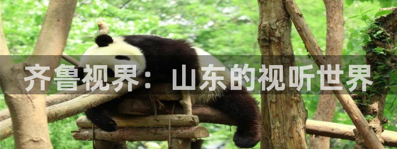 色七七影院综合：齐鲁视界：山东的视听世界