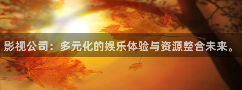 七七影视免费观看完整版：影视公司：多元化的娱乐体验与资源整合未来。